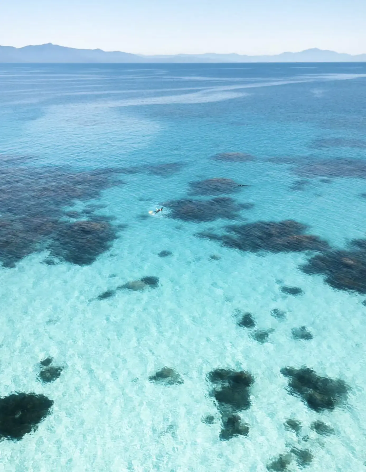 number of fish in Great Barrier Reef
