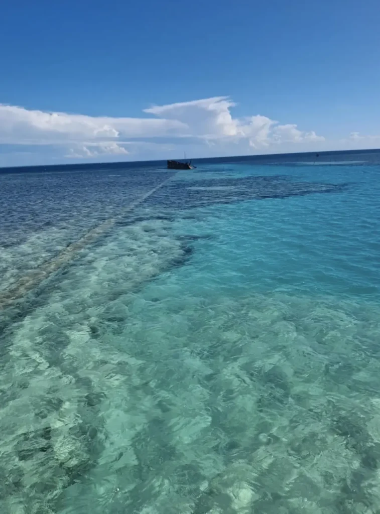reef system visible from space above Queensland coast