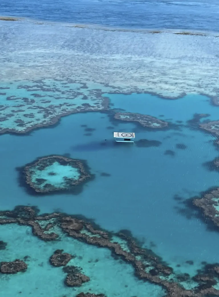 satellite image showing reef’s massive area