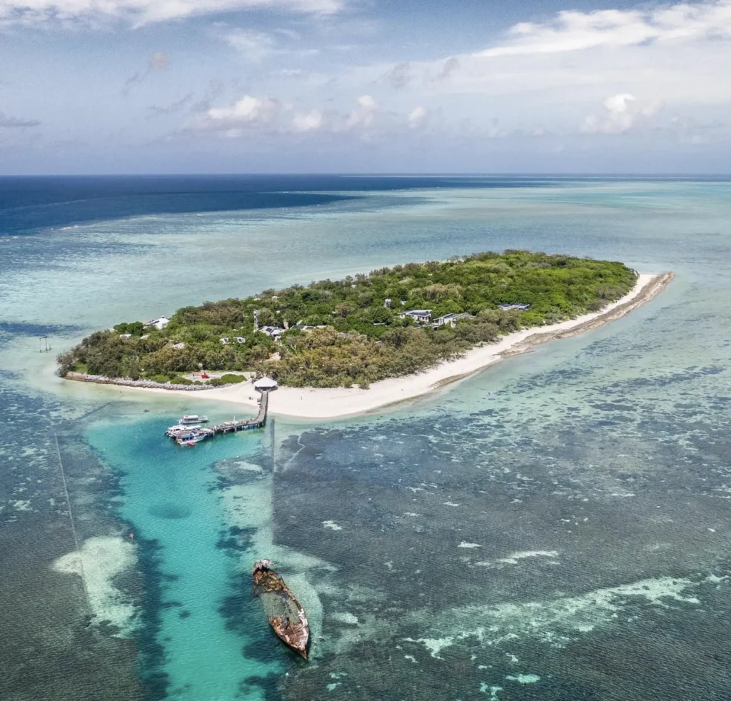 snorkeller exploring coral reef off heron island