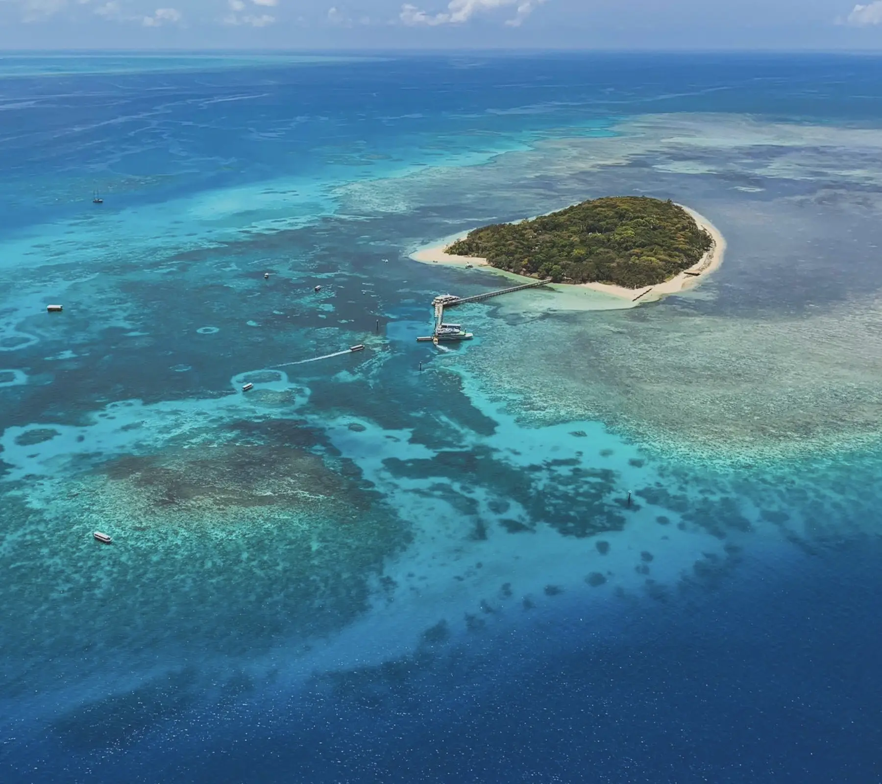 snorkelling on Green Island