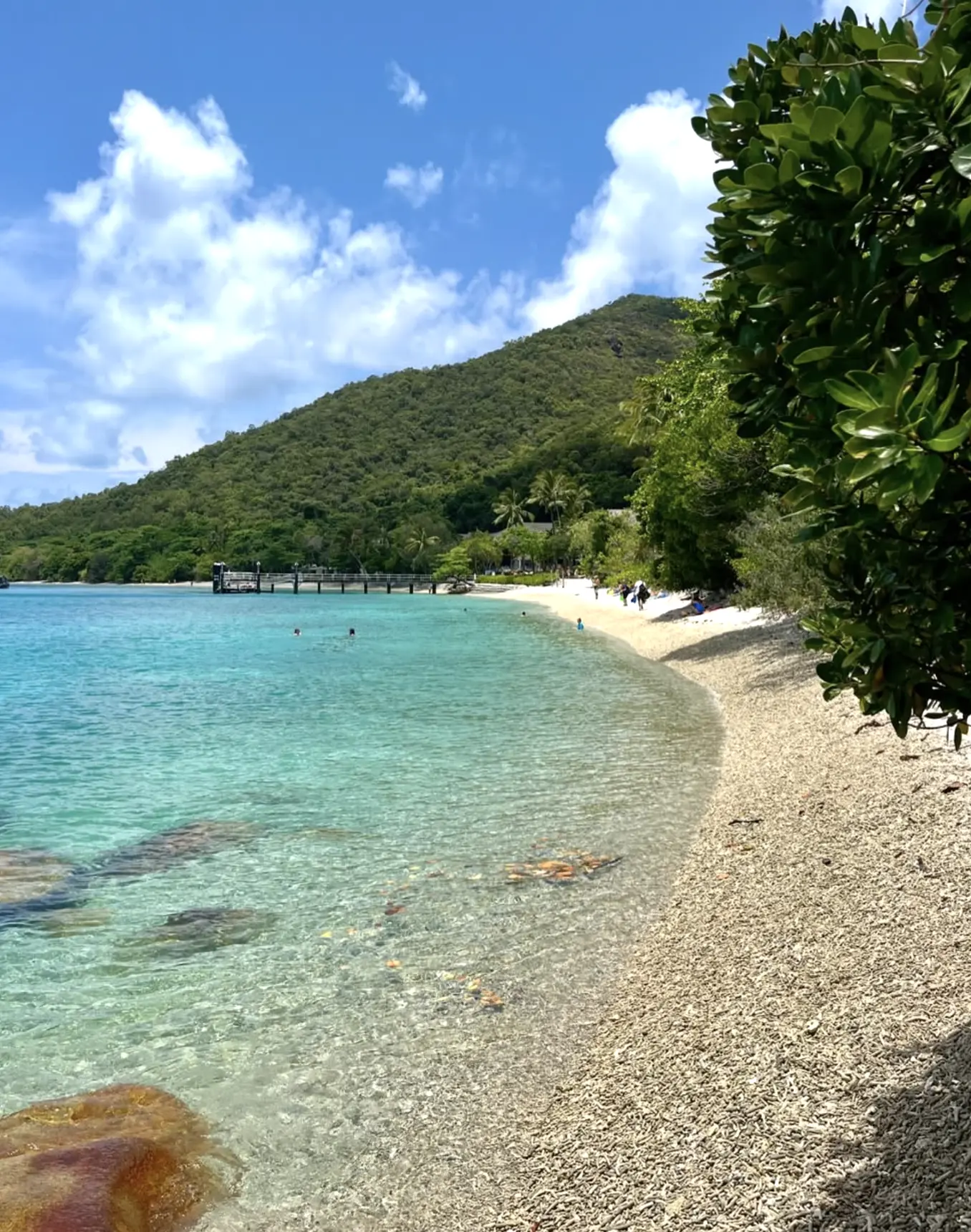 snorkelling with turtles at Welcome Bay