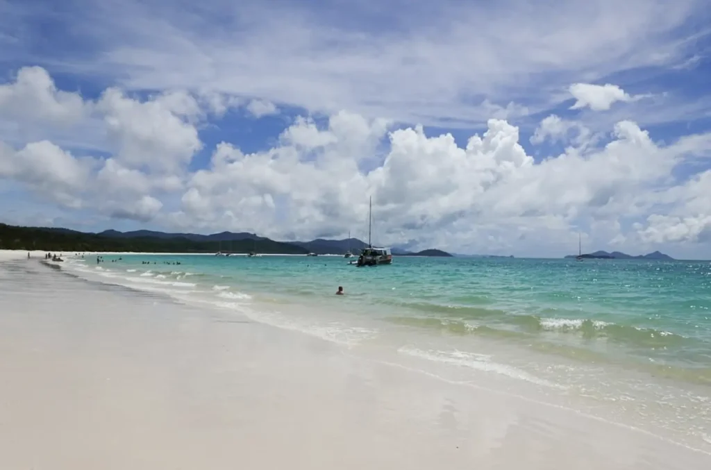 stinger season Cairns travel tips