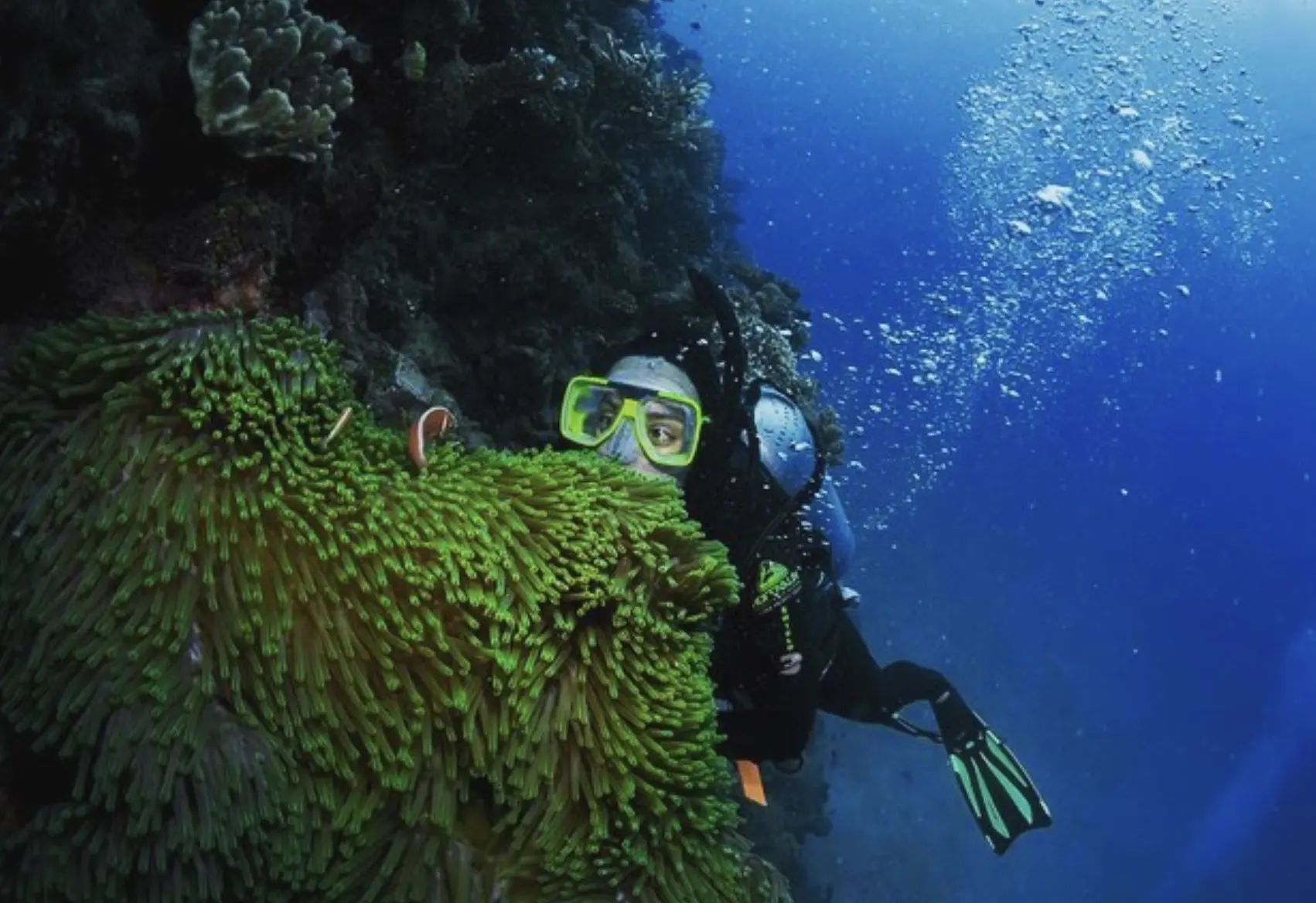 swimming on Green Island