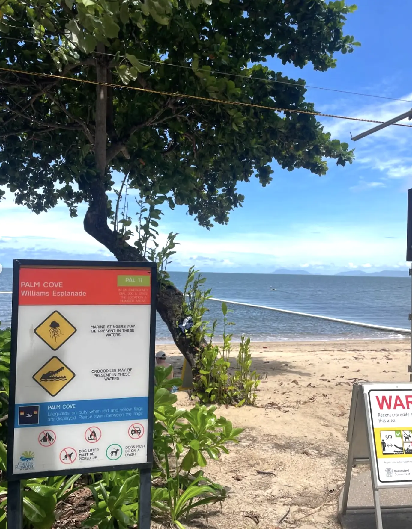 things to do in Cairns