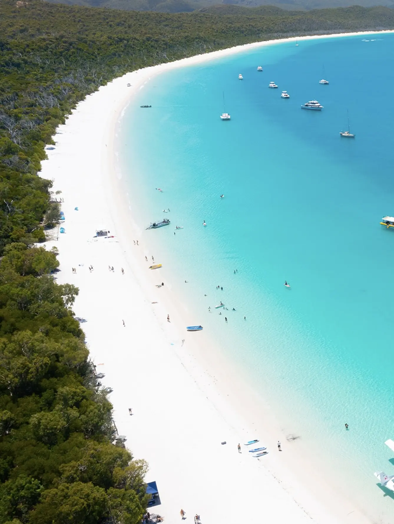 things to do in the Whitsundays