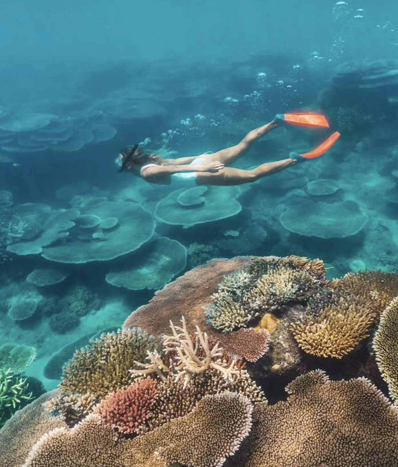 things to do on Pumpkin Island