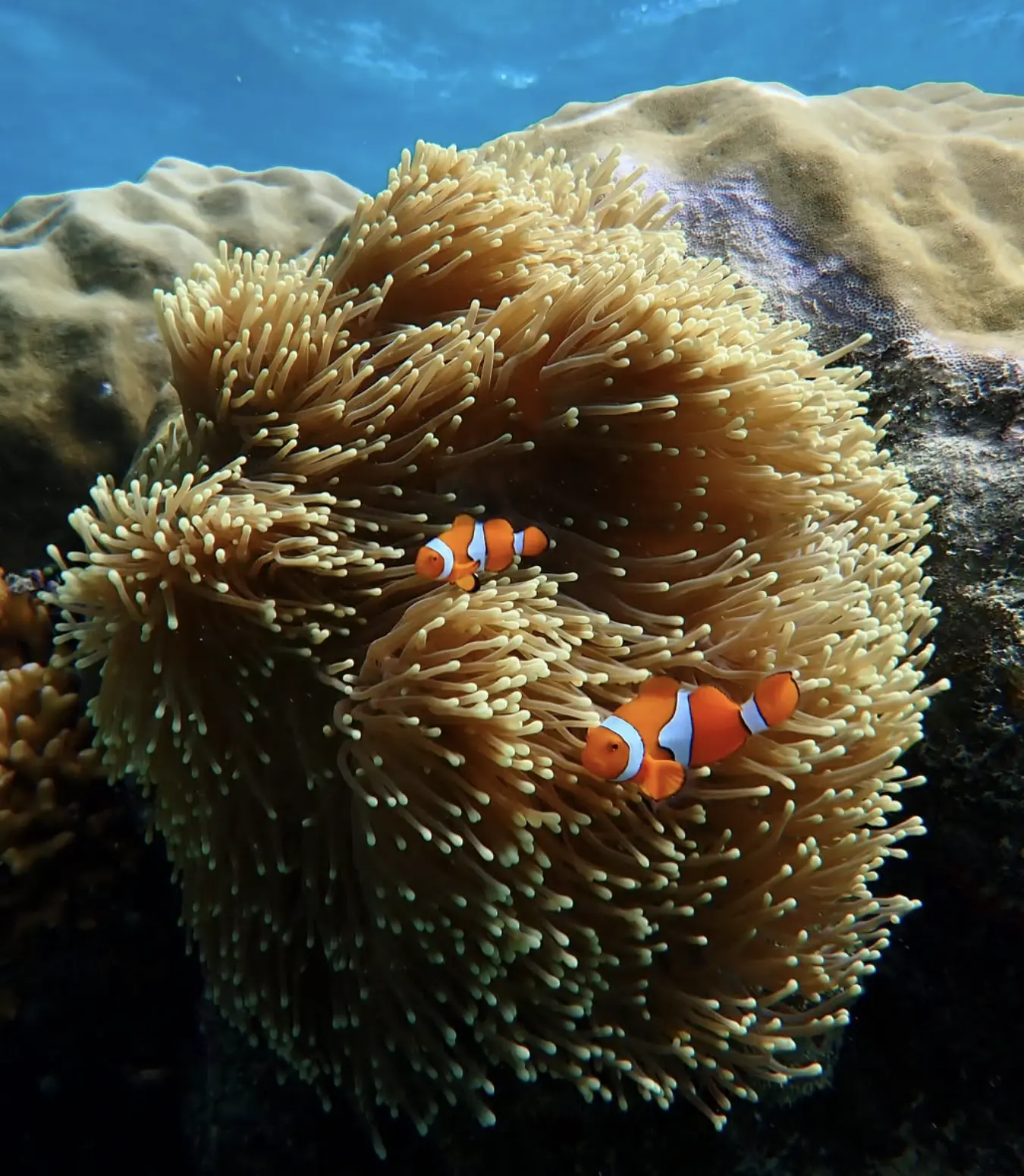 trip planning trips to Pumpkin Island