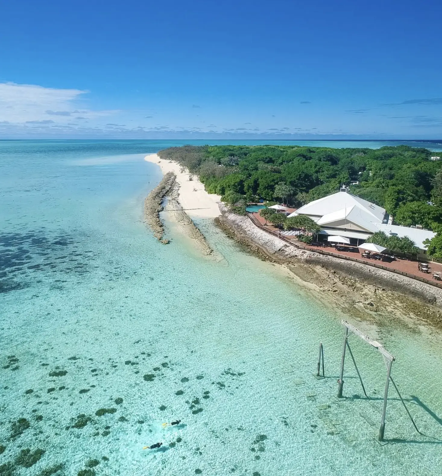 vibrant coral and tropical fish at agincourt reef