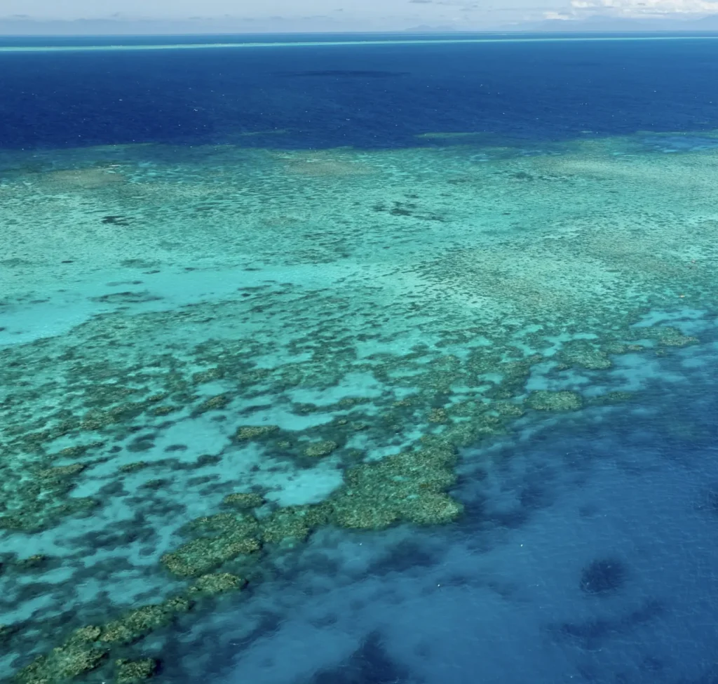 vibrant marine life in a Great Barrier Reef breaking patch