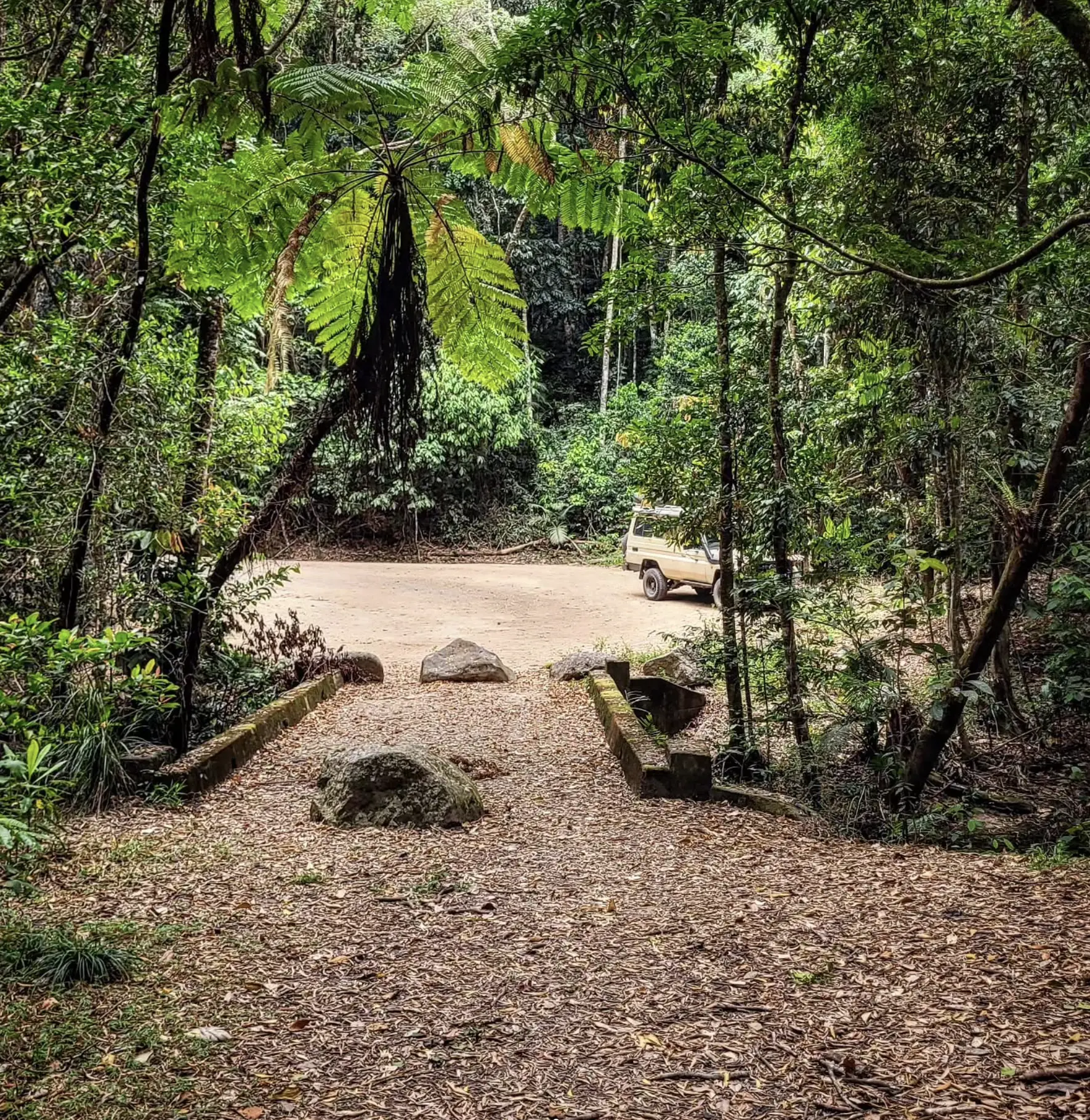 Cape Tribulation 4WD adventure