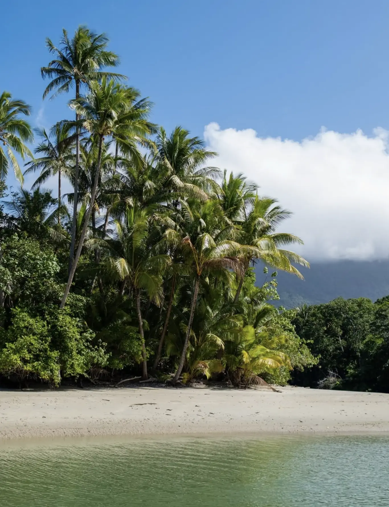 Cape Tribulation camping and eco stays