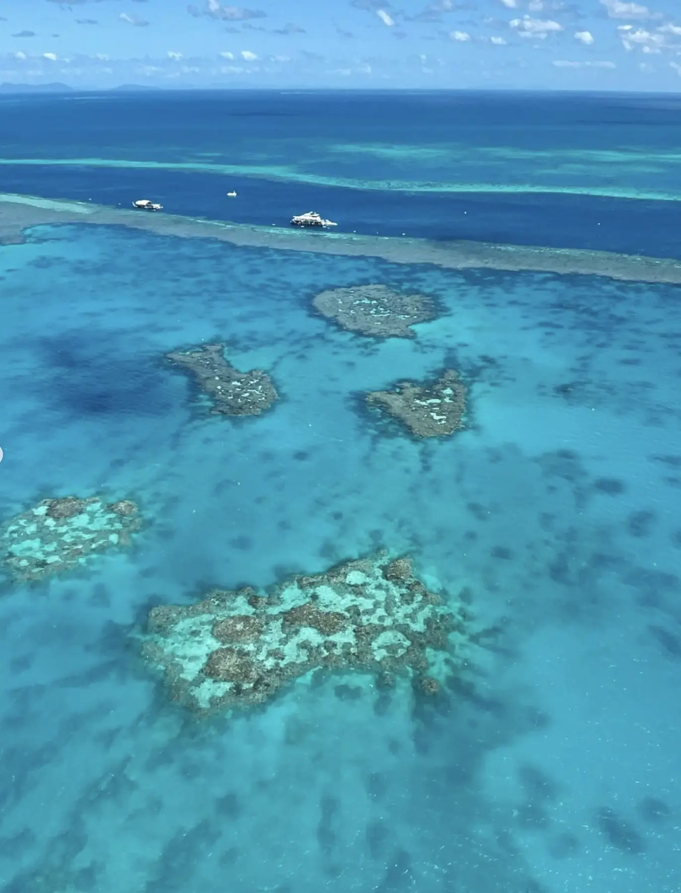 choosing reef tours Queensland