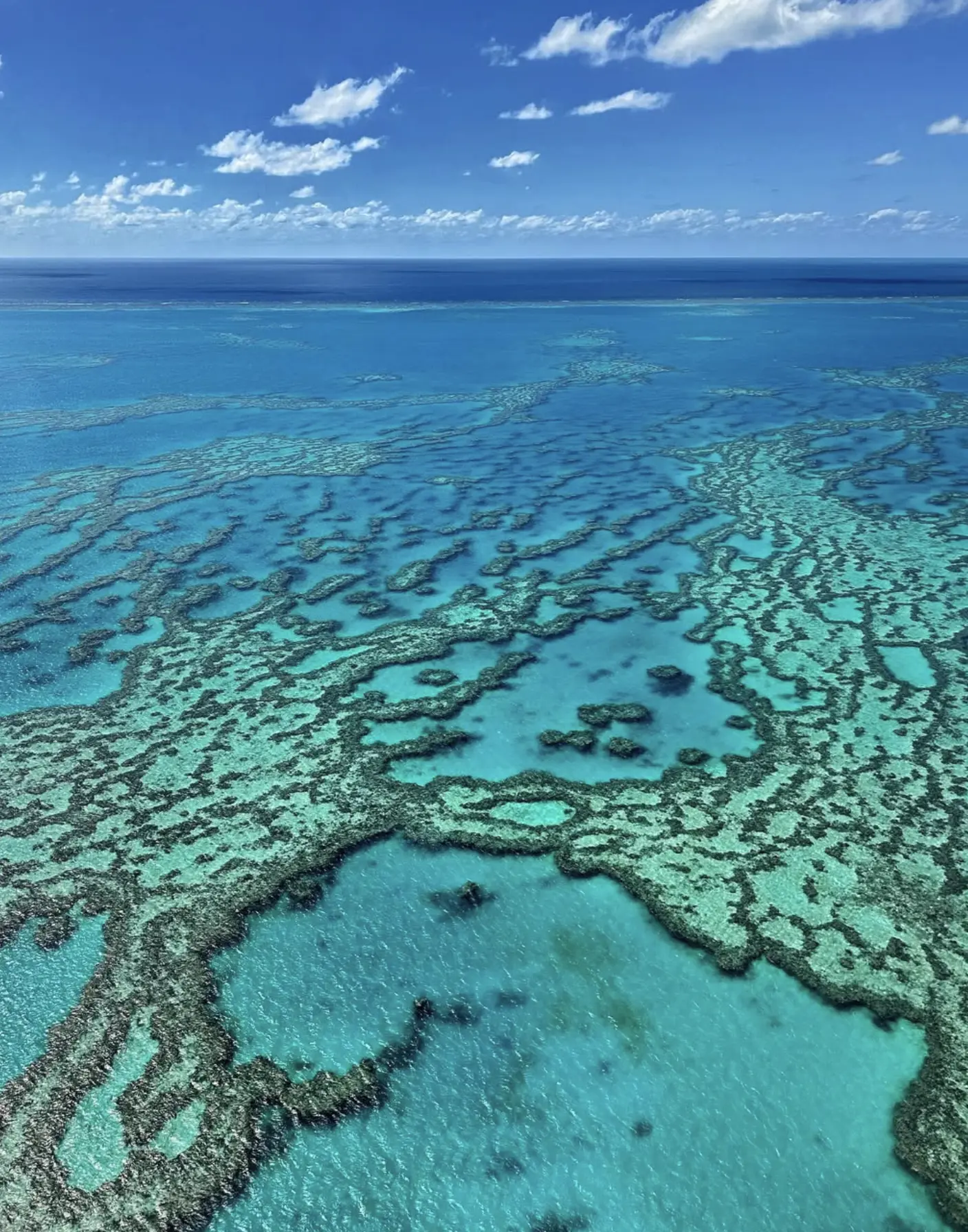 how to choose Great Barrier Reef tour
