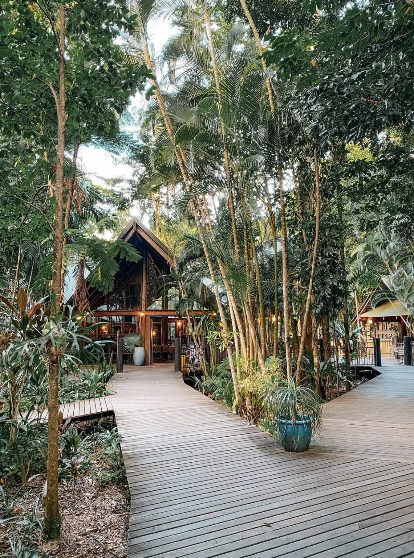 things to do in Cape Tribulation