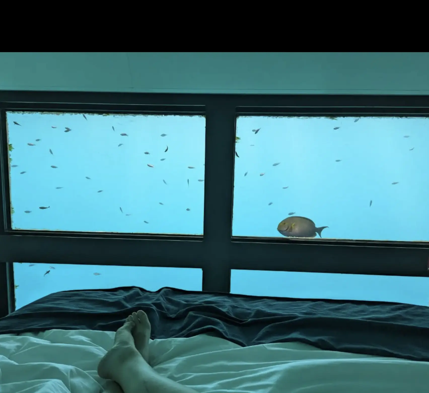 underwater hotel Great Barrier Reef