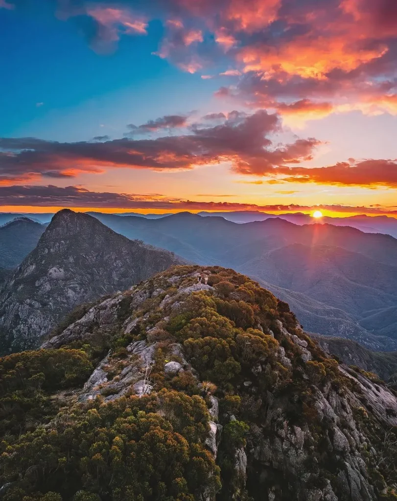 Scenic Rim, Glow Worm Day Tour from the Gold Coast