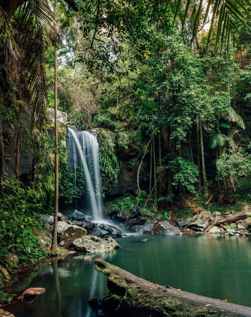 Tamborine Mountain Bus Tour from Brisbane15