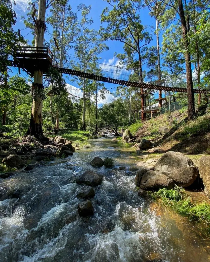 Tamborine Mountain Bus Tour from Gold Coast14