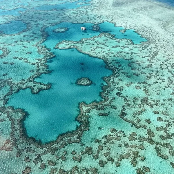 1-hour whitsunday islands and heart reef scenic flight