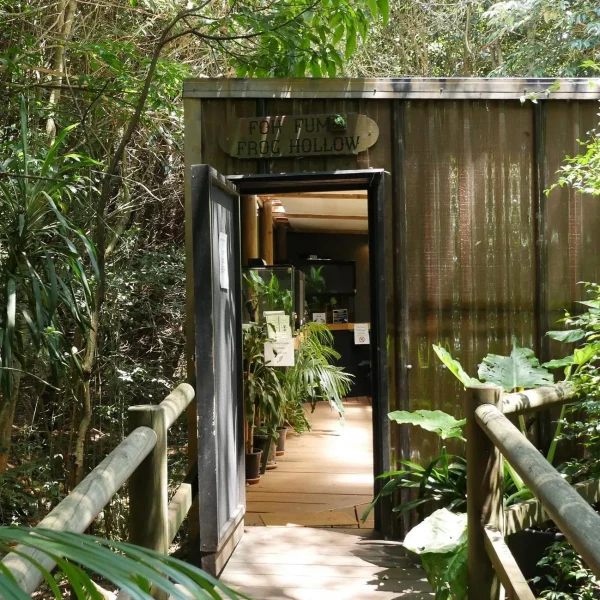 Brisbane glow worm tours