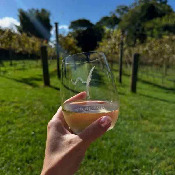 Bus Tours Wine Tasting from Gold Coast