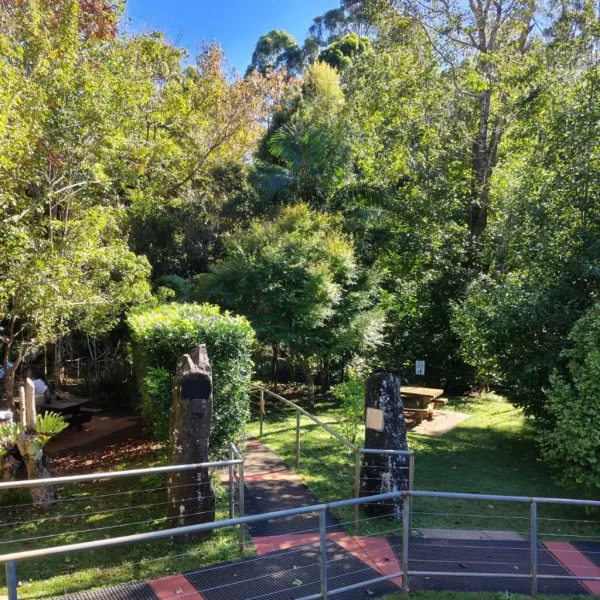 Bus Tours from BrisbaneTamborine Mountain