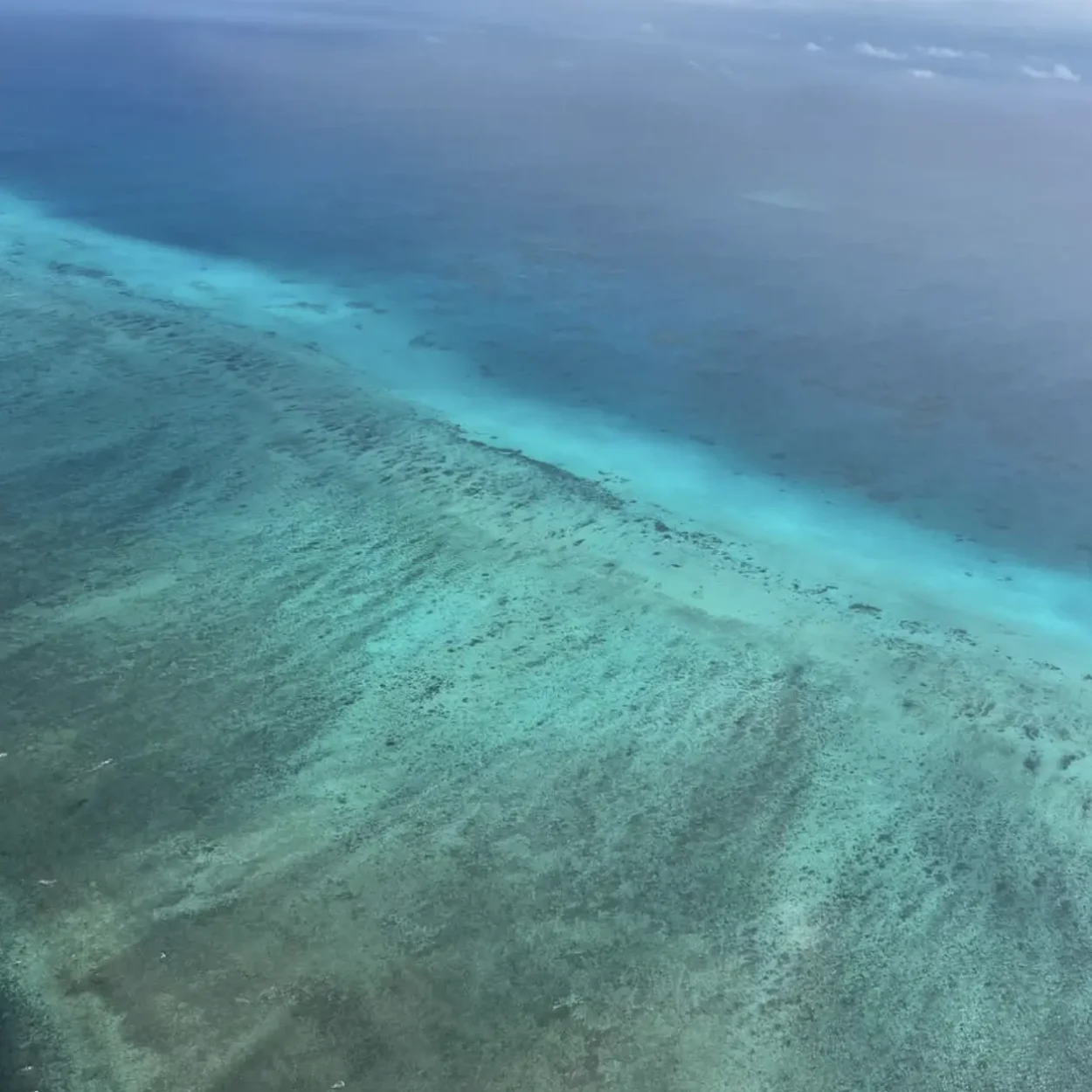 Cairns scenic flights