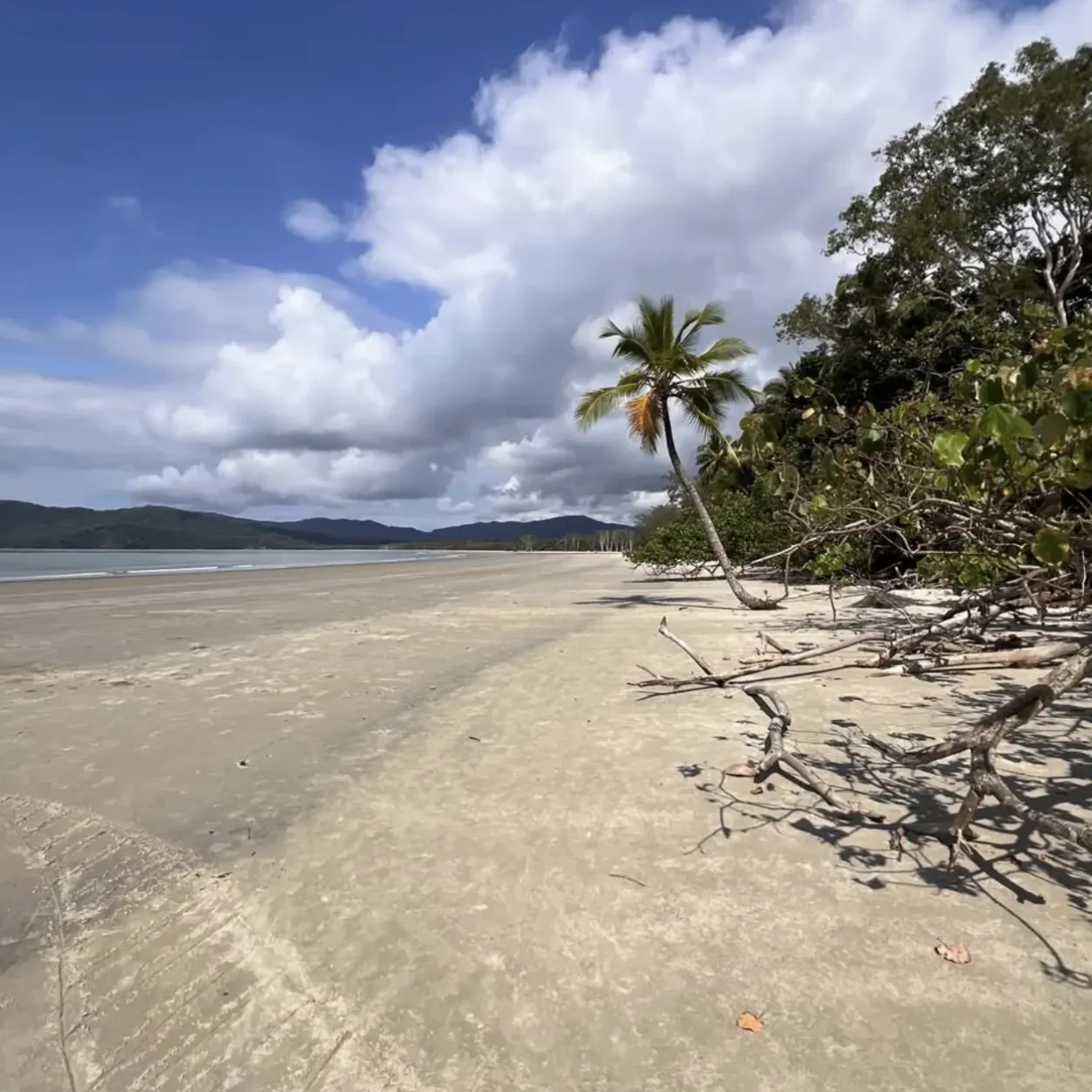 Cape Tribulation nature photography spots