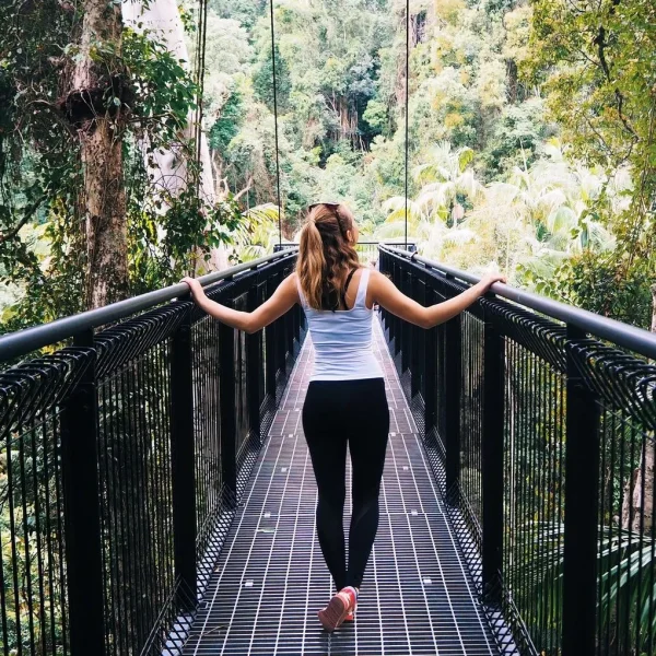 Day Tour Tamborine Rainforest Skywalk from Brisbane