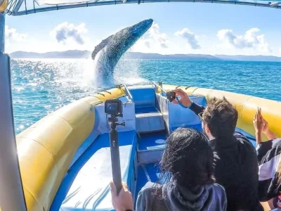 Fly Raft package Whitsunday Islands