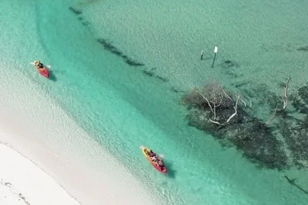 Full-Day Remote K'gari Experience Tour