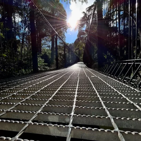 Glow Worm Caves and Tamborine Rainforest Skywalk Day Tour from Brisbane