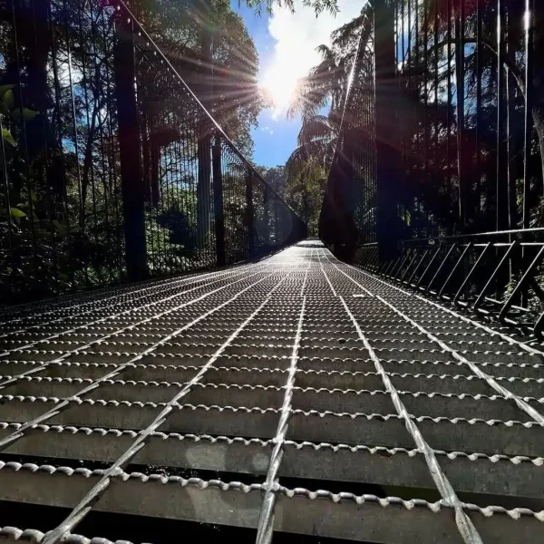 Glow Worm Caves and Tamborine Rainforest Skywalk Day Tour from Brisbane