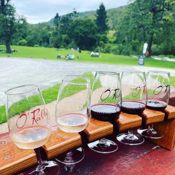 Glow Worm Day Tour from the Gold Coast