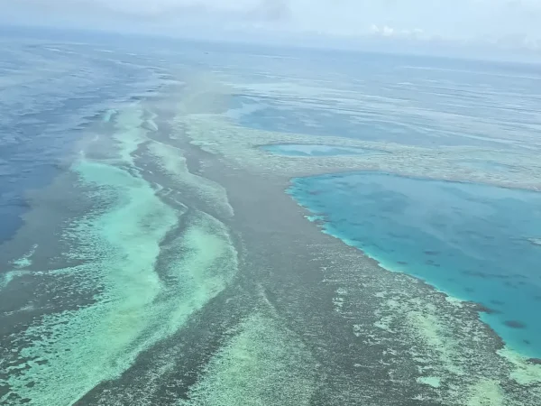 Great Barrier Reef interesting facts