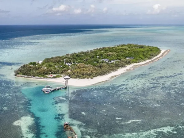 Heron Island