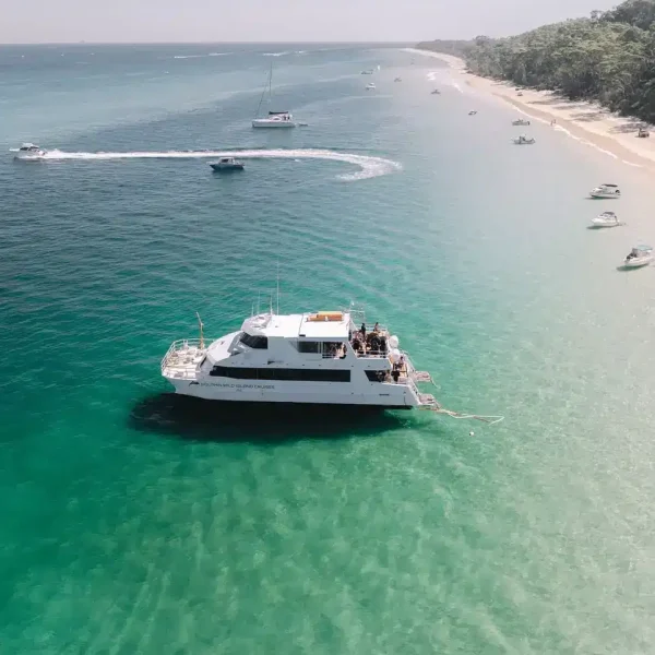 Moreton Island Eco Marine Tour: Dolphins, Dugongs & Snorkel
