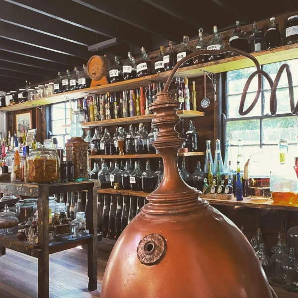 Premium Mount Tamborine Winery Tours from Brisbane