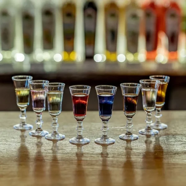 Rainforest Skywalk & Glow Worm Caves Day Tours Gold Coast