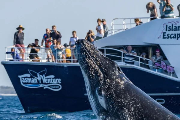 Remote K’gari and Whale Experience Tour from Hervey Bay