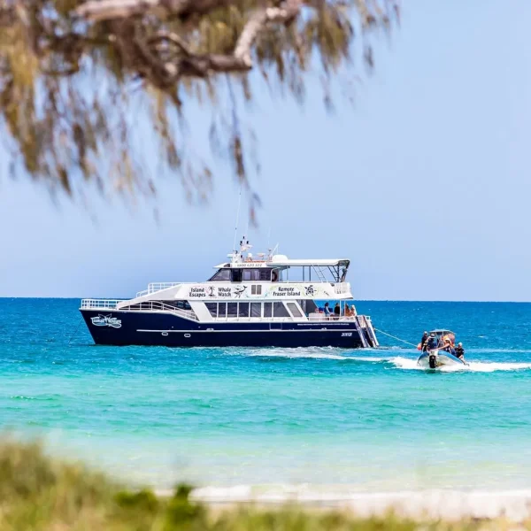 Remote K’gari kayak Tour