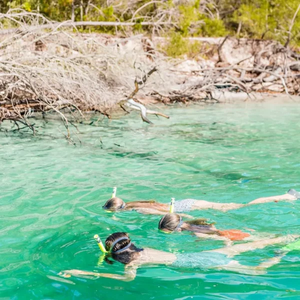 Remote K’gari snorkels Tour from Hervey Bay