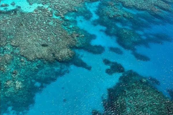 Scenic Flight Great Barrier Reef