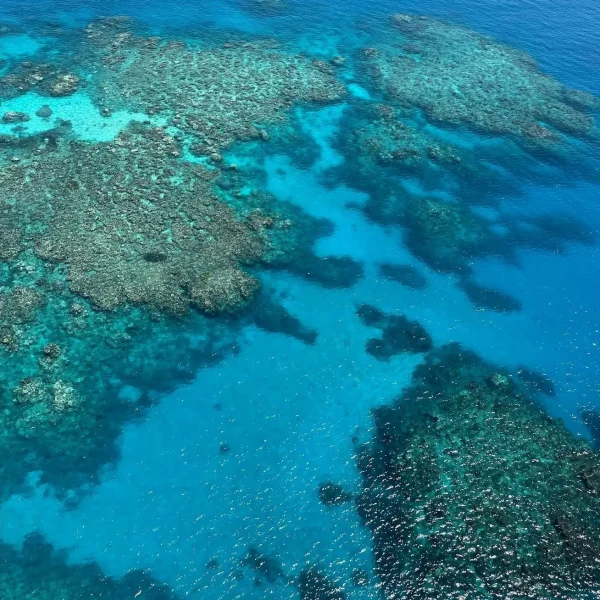 Scenic Flight Great Barrier Reef