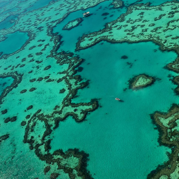 Great Barrier Reef Scenic Flight