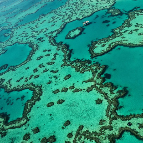 flight over great barrier reef