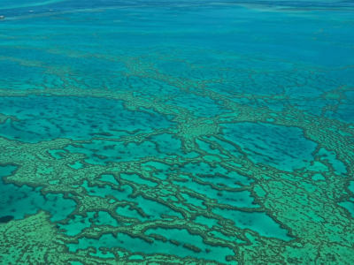 Scenic Flight Great Barrier Reef4