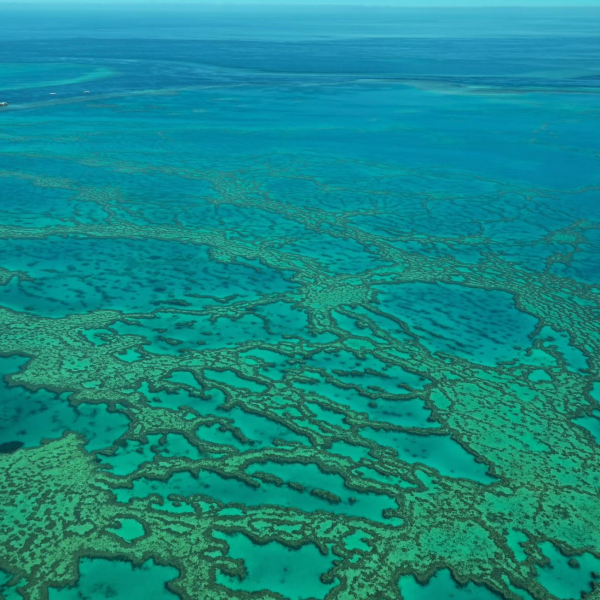 great barrier reef flight