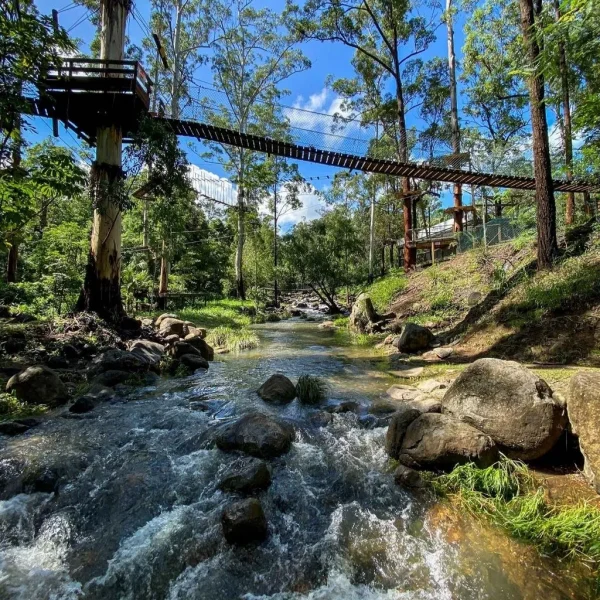 Tamborine Mountain Bus Tour from Brisbane14